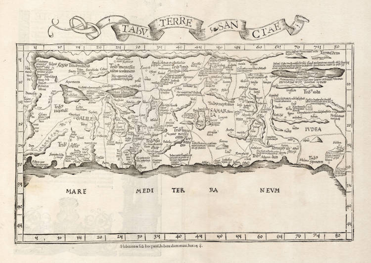 Antique map of the Holy Land by Fries / Waldseemüller